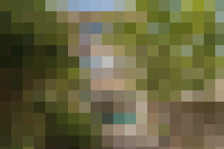 Image 29