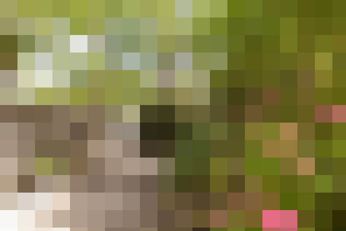 Image 32