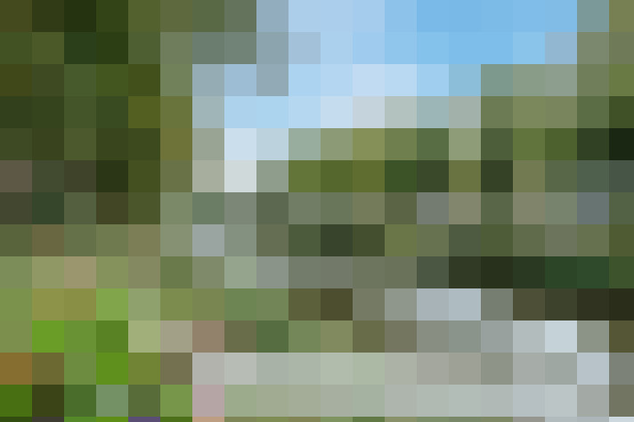 Image 34