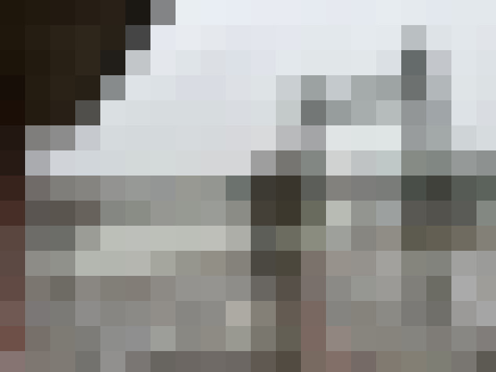 Image 22
