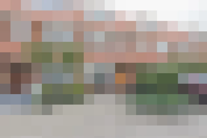 Image 30