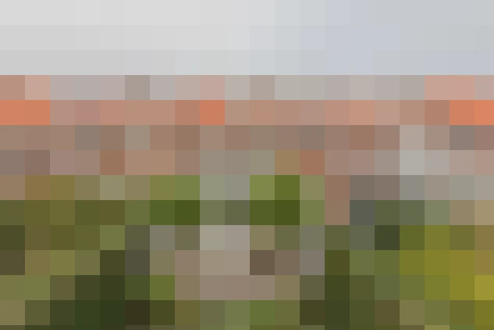Image 29