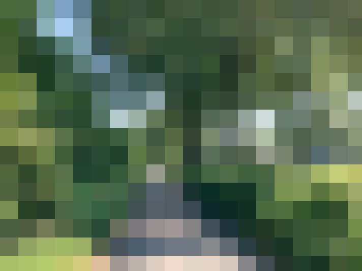 Image 39