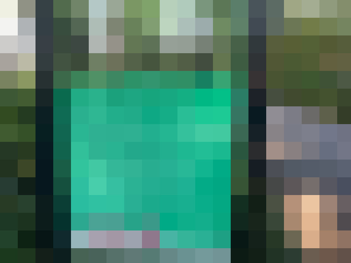 Image 42