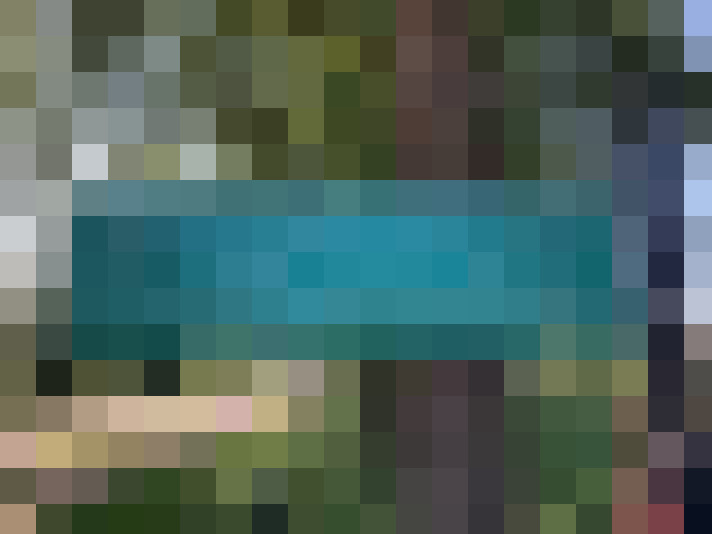 Image 41