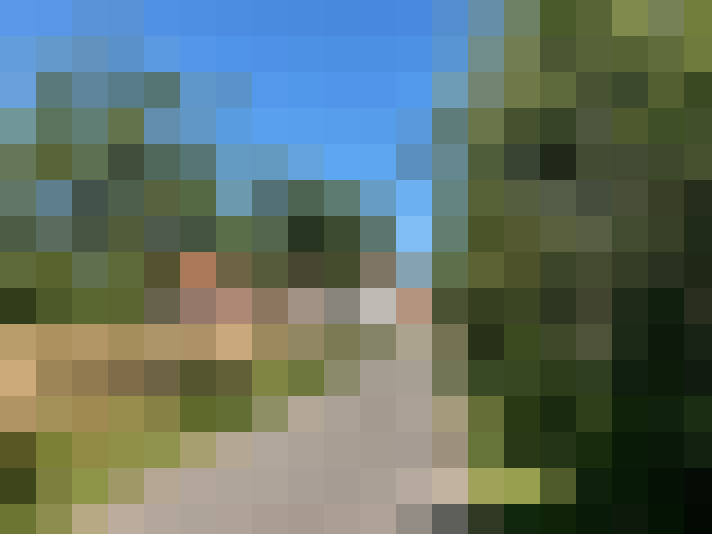 Image 38