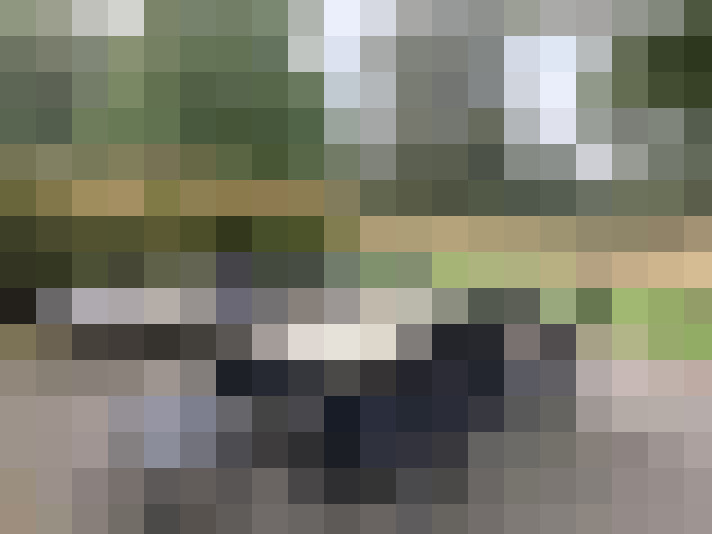 Image 28