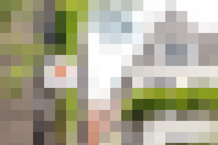 Image 16