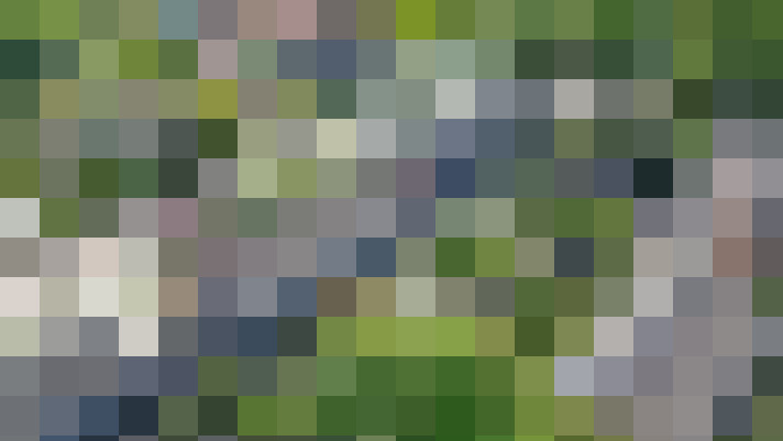 Image 31
