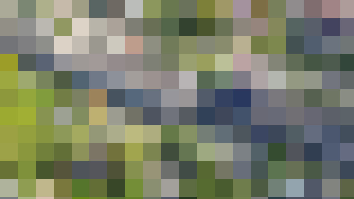 Image 33