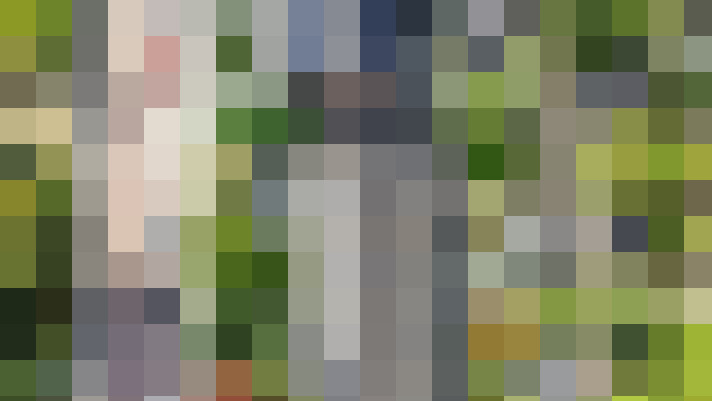 Image 27