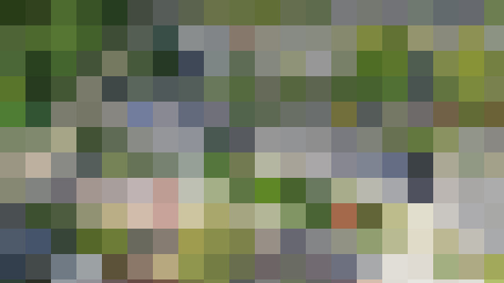 Image 26