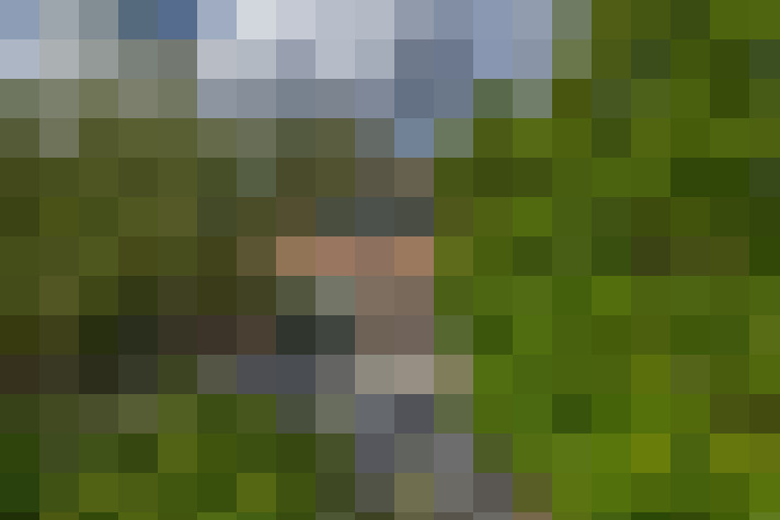 Image 39