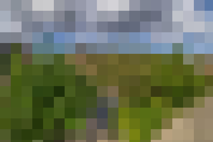 Image 24