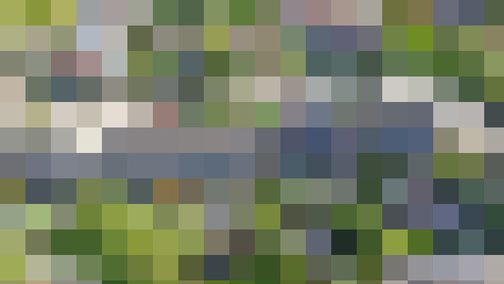 Image 29