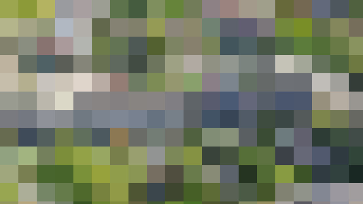 Image 30