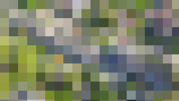Image 28