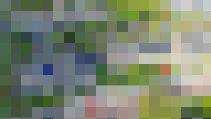 Image 25