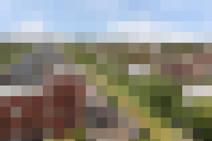 Image 22