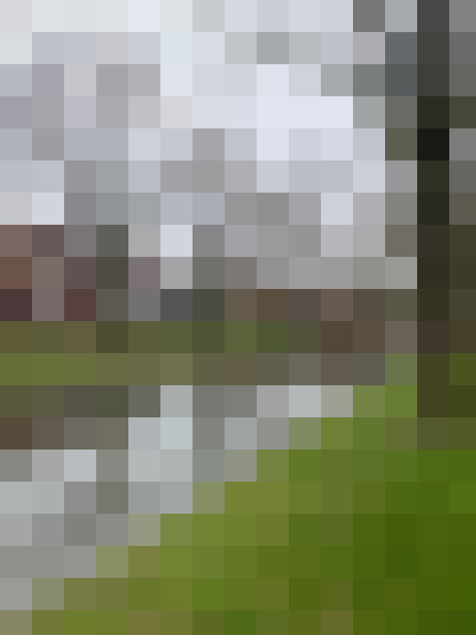 Image 29