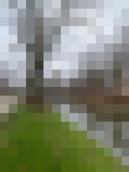 Image 30