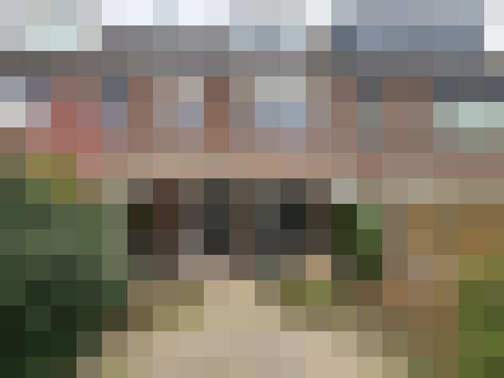 Image 23