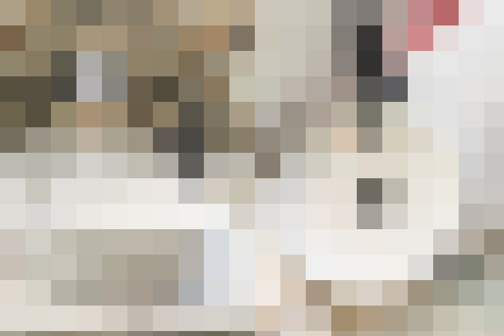 Image 36
