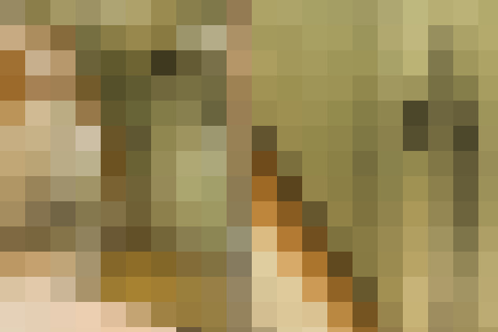 Image 35