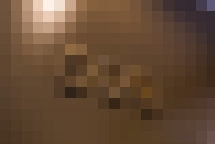 Image 40