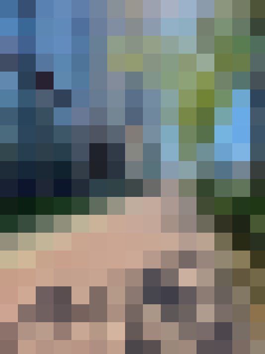 Image 22