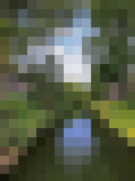 Image 26