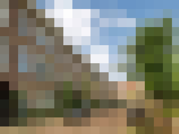 Image 25