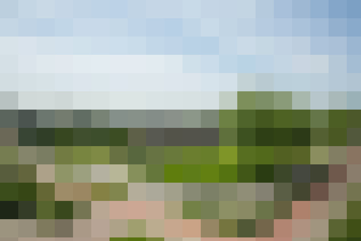 Image 25