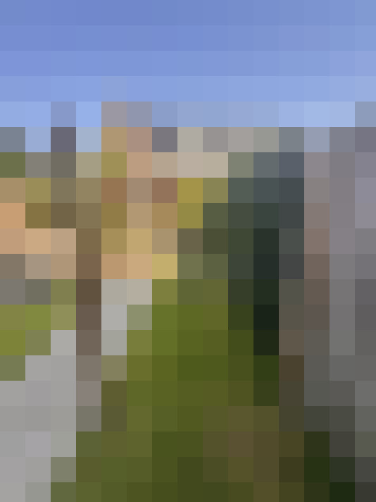Image 28