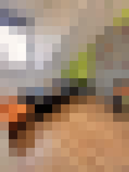 Image 17