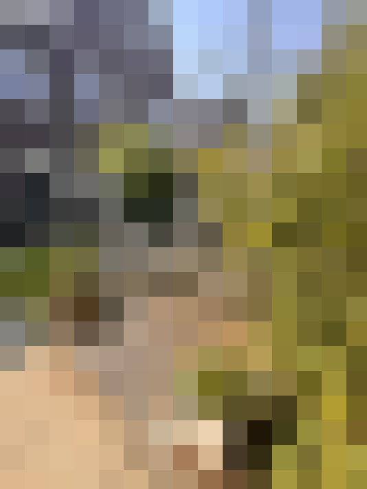 Image 29