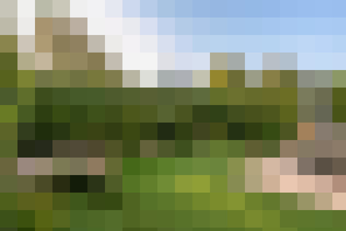 Image 29