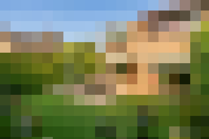 Image 28