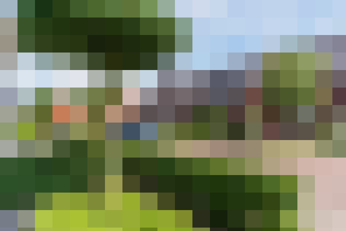 Image 33