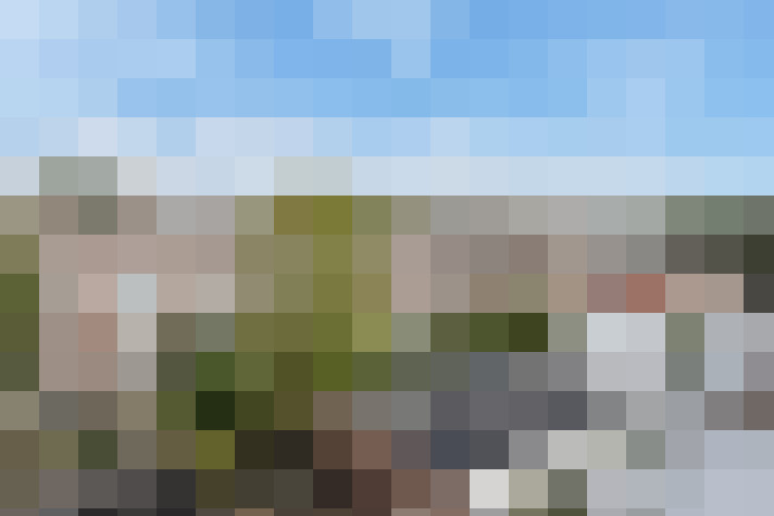 Image 61