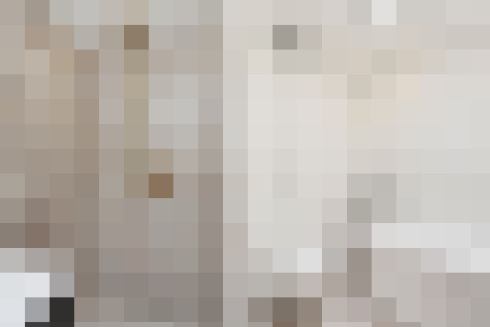 Image 52