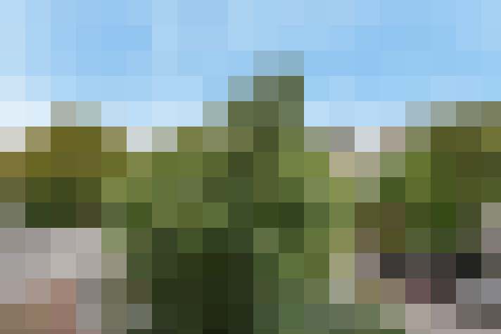 Image 58