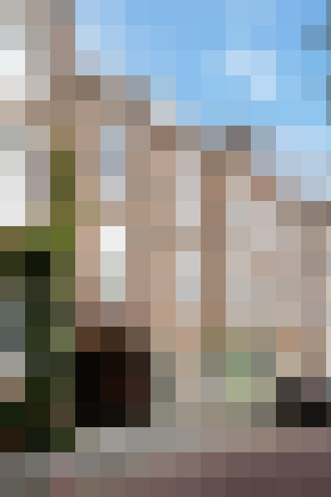Image 15