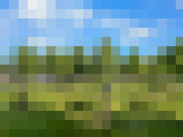 Image 20