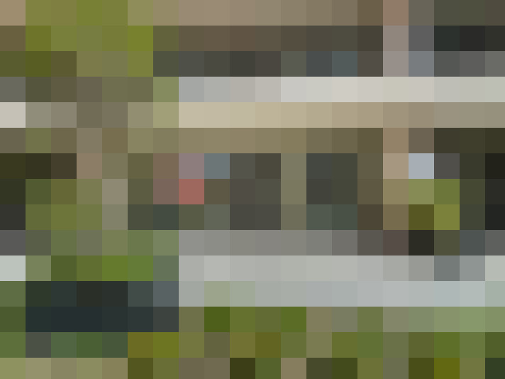 Image 15