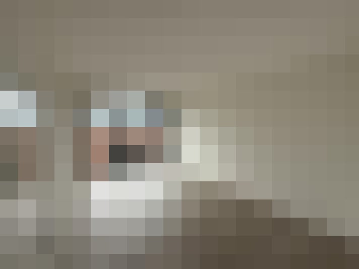 Image 32