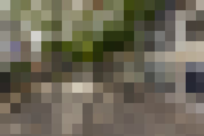Image 13