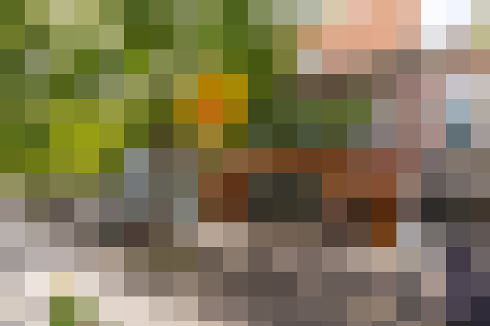 Image 16