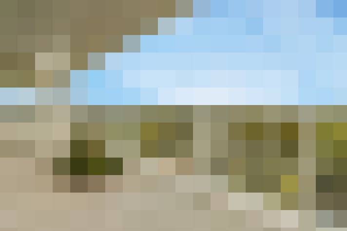 Image 14
