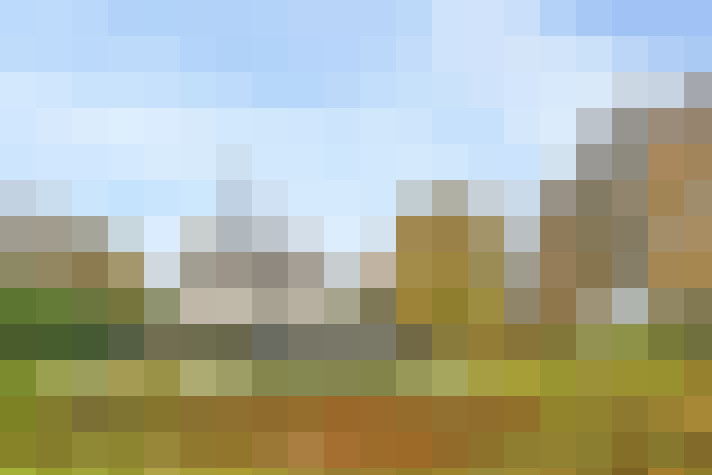 Image 29